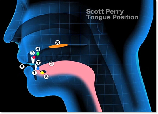 Scott Perry Tongue Position