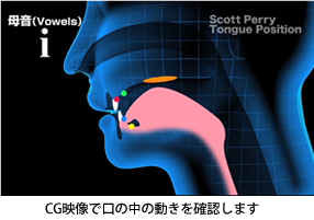 ̒CGf