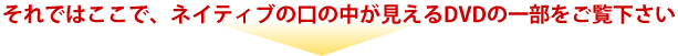 lCeBǔ̒DVD̈ꕔB